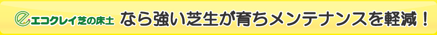 強い芝生が育ちメンテナンスを軽減！