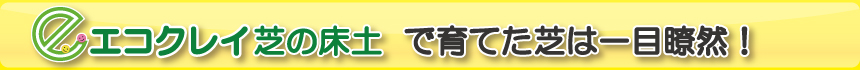 エコクレイ芝の床土で育てた芝は一目瞭然！