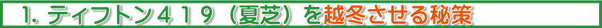 ティフトン419を越冬させる秘策