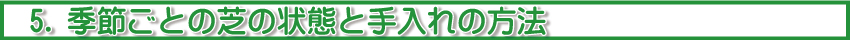 季節ごとの芝の状態と手入れの方法