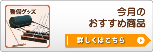 今月のおすすめ商品