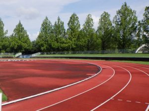 亀岡運動公園公認更新