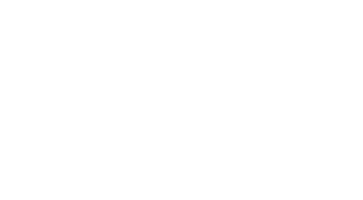 現地調査